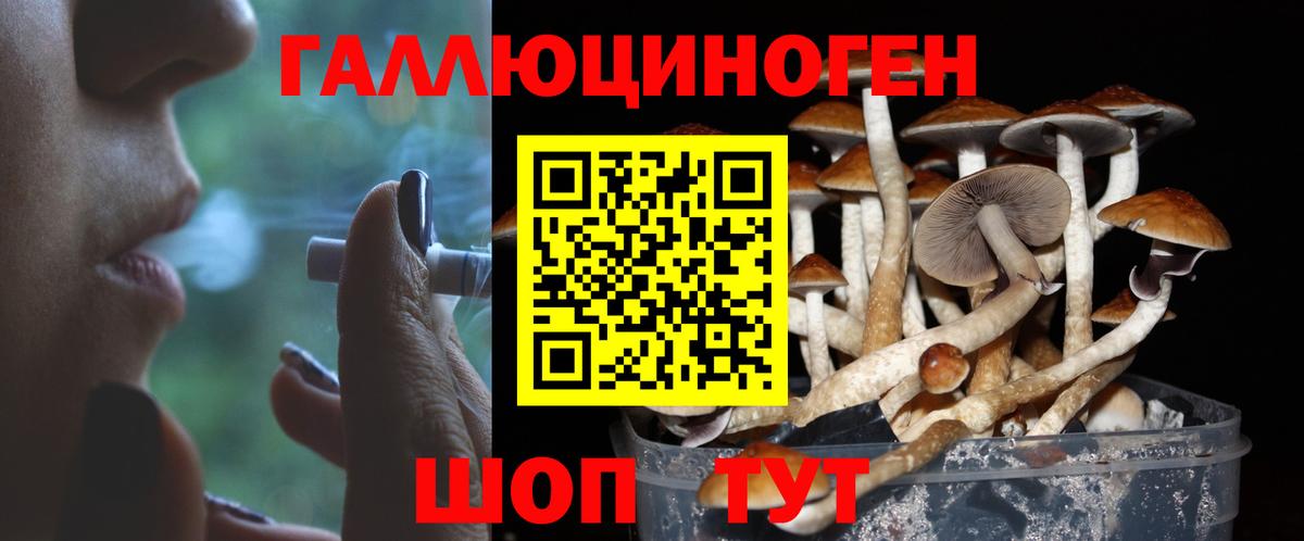 Добрянка  магазин продажи наркотиков  Вход с VPN  Галлюциногенные грибы GOLDEN TEACHER  Псилоцибиновые грибы GOLDEN TEACHER 